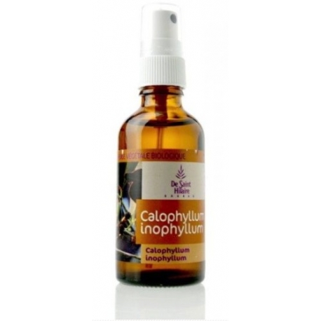 Huile de Calophylle 50ml