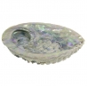 Abalone-Schale
