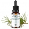 Waldkiefer Glycerinmazerat BIO - 30ml