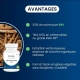 Ashwagandha - Benefits 01