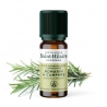 Bio ätherisches Öl Rosmarin Kampfer - 10ml