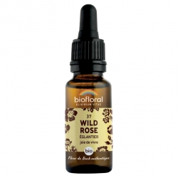 Bio Bachblüten - Wild Rose (Hagebutte) - Flasche (New)