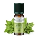 Huile Essentielle Basilic Tropical Bio 10ml