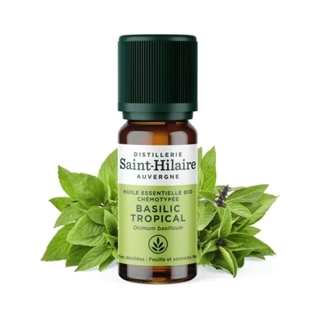 Huile Essentielle Basilic Tropical Bio 10ml