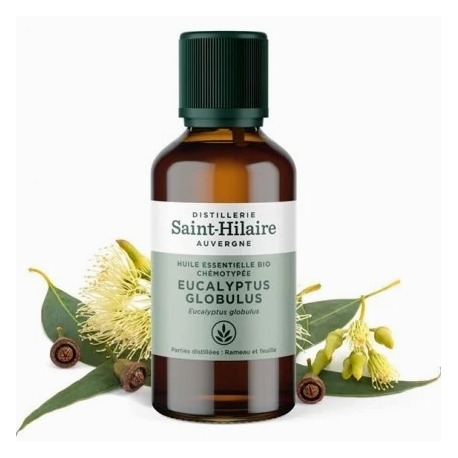 Huile Essentielle Eucalyptus Globulus bio