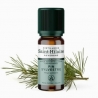 Bio ätherisches Öl aus Waldkiefer - 10ml