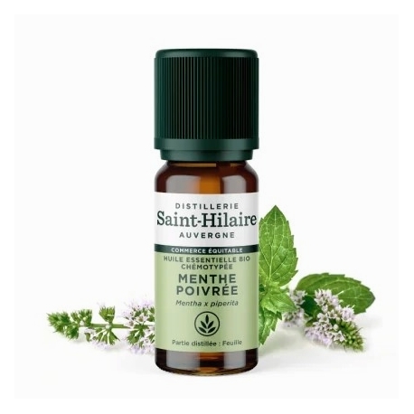 Huile Essentielle Menthe poivrée bio