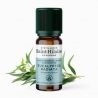 Bio ätherisches Öl aus Radiated Eucalyptus - 10ml