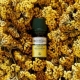 Huile Essentielle Immortelle Bio 