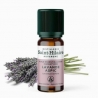 Bio Ätherisches Öl aus Lavendel Aspic - 10ml