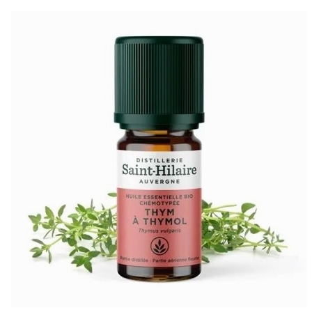 Huile essentielle - Thym Thymol  bio