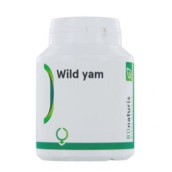 Wild Yam - Front 01